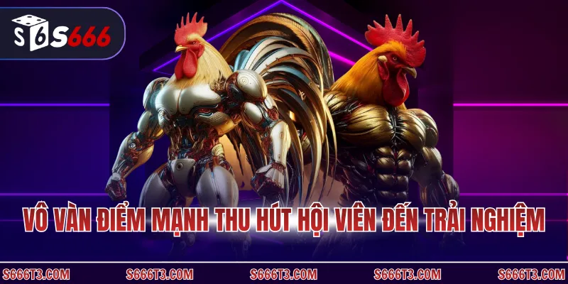 Vô vàn điểm mạnh thu hút hội viên đến trải nghiệm